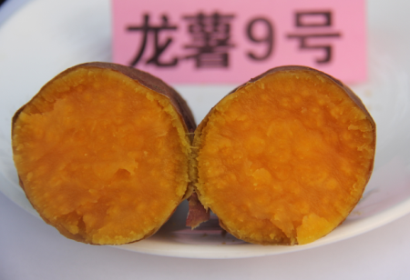 ׯ�к���Ϸ(�й�)�ɷ����޹�˾-����