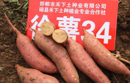 ׯ�к���Ϸ(�й�)�ɷ����޹�˾-����