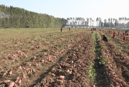庄闲和游戏(中国)股份有限公司-官网