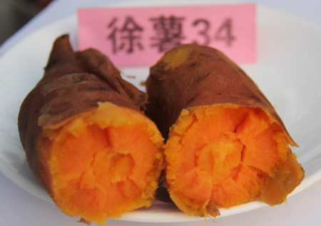 ׯ�к���Ϸ(�й�)�ɷ����޹�˾-����