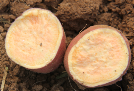 ׯ�к���Ϸ(�й�)�ɷ����޹�˾-����