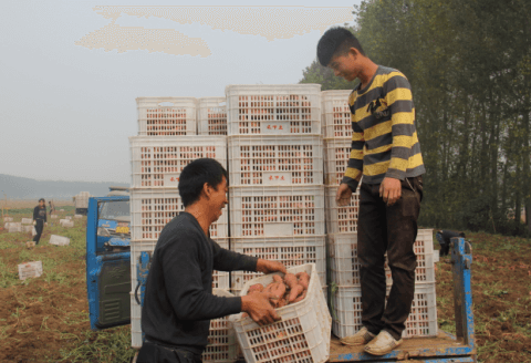 ׯ�к���Ϸ(�й�)�ɷ����޹�˾-����