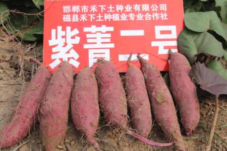 ׯ�к���Ϸ(�й�)�ɷ����޹�˾-����