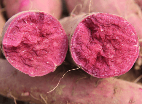 ׯ�к���Ϸ(�й�)�ɷ����޹�˾-����