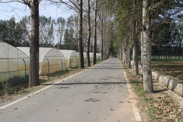 ׯ�к���Ϸ(�й�)�ɷ����޹�˾-����