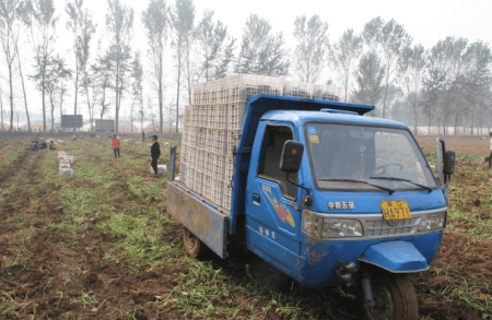 ׯ�к���Ϸ(�й�)�ɷ����޹�˾-����