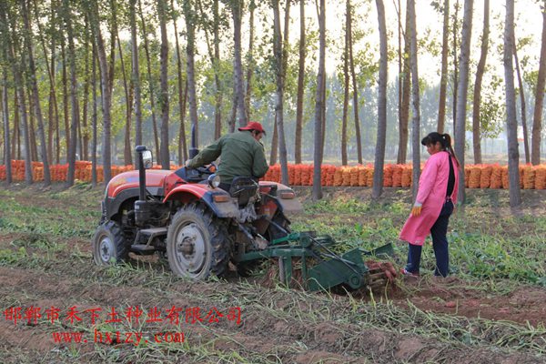 ׯ�к���Ϸ(�й�)�ɷ����޹�˾-����