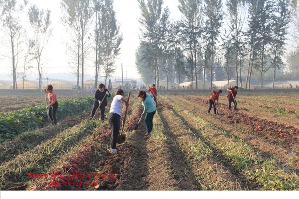 ׯ�к���Ϸ(�й�)�ɷ����޹�˾-����