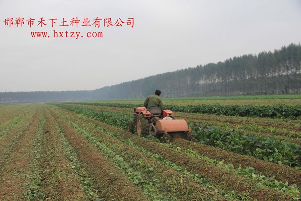 ׯ�к���Ϸ(�й�)�ɷ����޹�˾-����