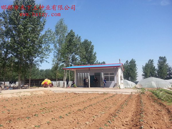 ׯ�к���Ϸ(�й�)�ɷ����޹�˾-����