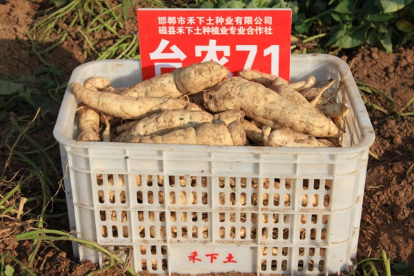 ׯ�к���Ϸ(�й�)�ɷ����޹�˾-����