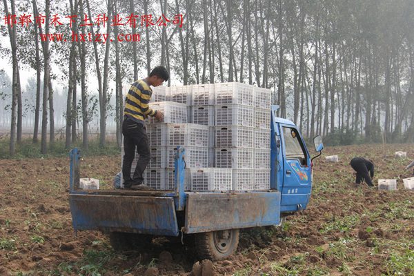 ׯ�к���Ϸ(�й�)�ɷ����޹�˾-����