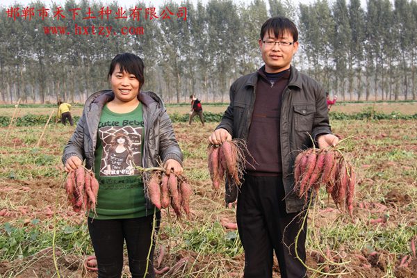 ׯ�к���Ϸ(�й�)�ɷ����޹�˾-����