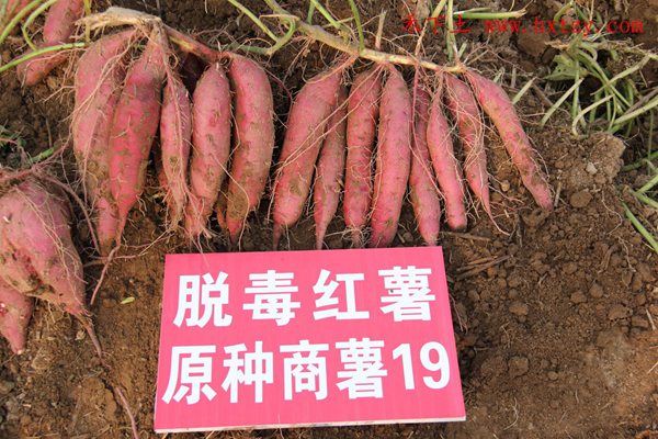 ׯ�к���Ϸ(�й�)�ɷ����޹�˾-����