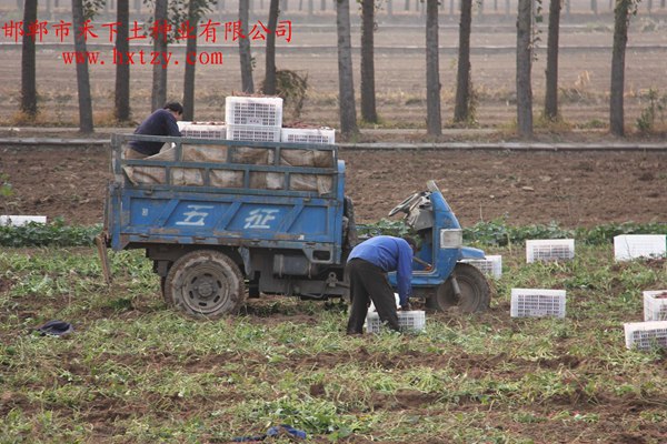 ׯ�к���Ϸ(�й�)�ɷ����޹�˾-����