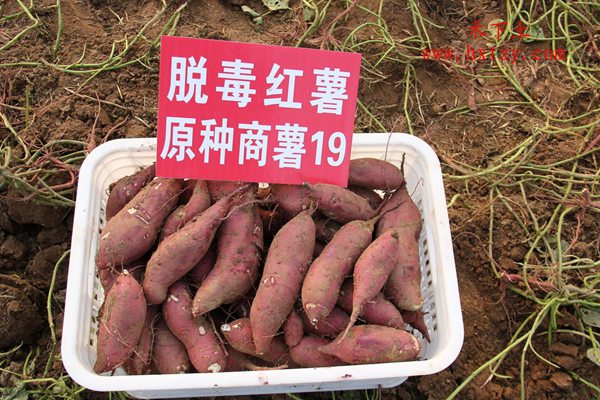 ׯ�к���Ϸ(�й�)�ɷ����޹�˾-����