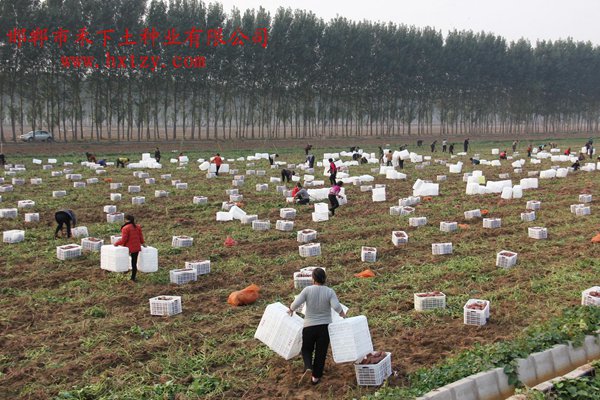 ׯ�к���Ϸ(�й�)�ɷ����޹�˾-����