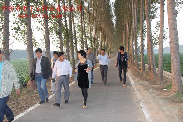 ׯ�к���Ϸ(�й�)�ɷ����޹�˾-����