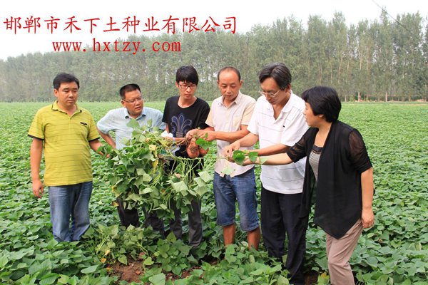 ׯ�к���Ϸ(�й�)�ɷ����޹�˾-����