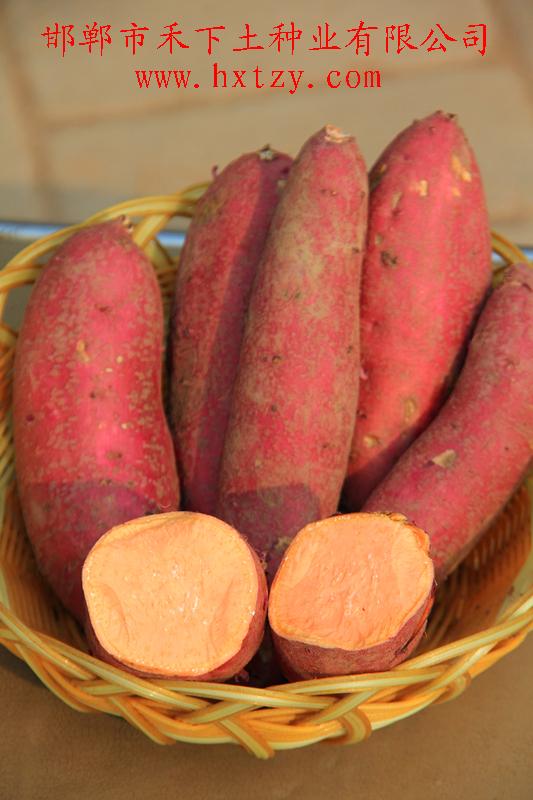 ׯ�к���Ϸ(�й�)�ɷ����޹�˾-����