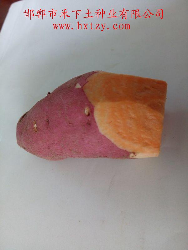 ׯ�к���Ϸ(�й�)�ɷ����޹�˾-����