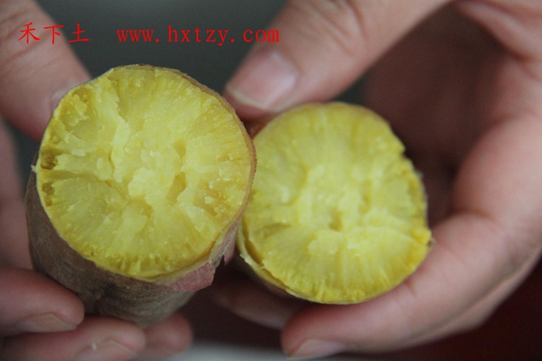 ׯ�к���Ϸ(�й�)�ɷ����޹�˾-����