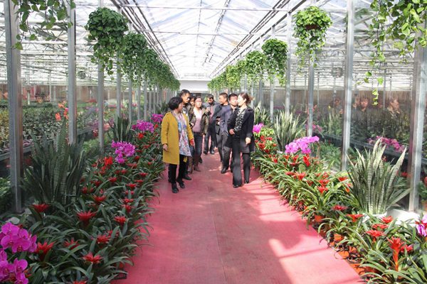 ׯ�к���Ϸ(�й�)�ɷ����޹�˾-����