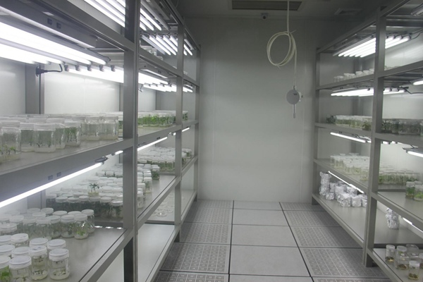 ׯ�к���Ϸ(�й�)�ɷ����޹�˾-����