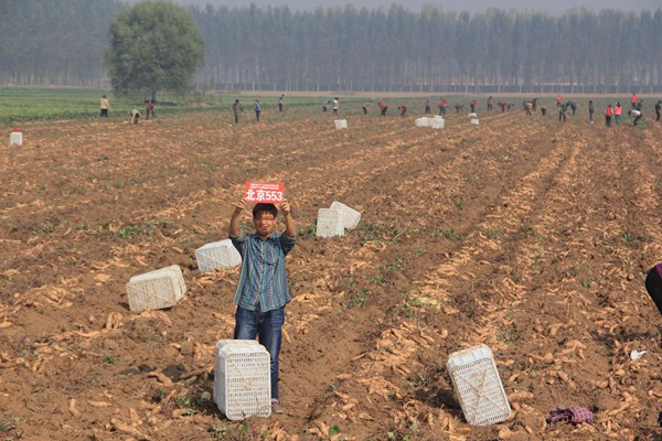 ׯ�к���Ϸ(�й�)�ɷ����޹�˾-����