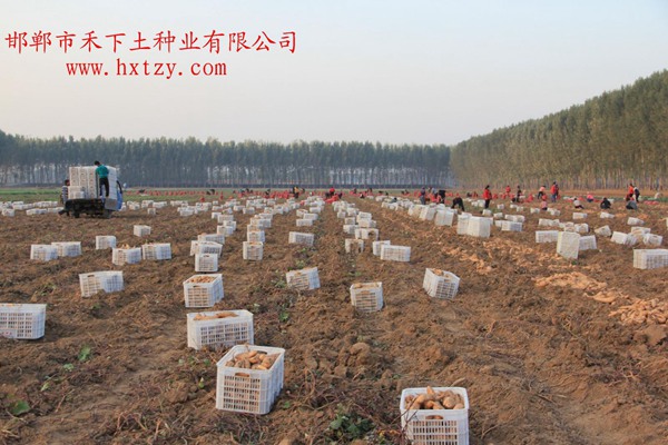 ׯ�к���Ϸ(�й�)�ɷ����޹�˾-����