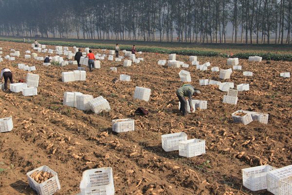 ׯ�к���Ϸ(�й�)�ɷ����޹�˾-����