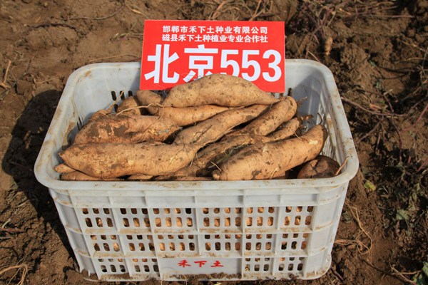 ׯ�к���Ϸ(�й�)�ɷ����޹�˾-����