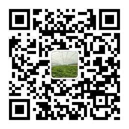 ׯ�к���Ϸ(�й�)�ɷ����޹�˾-����