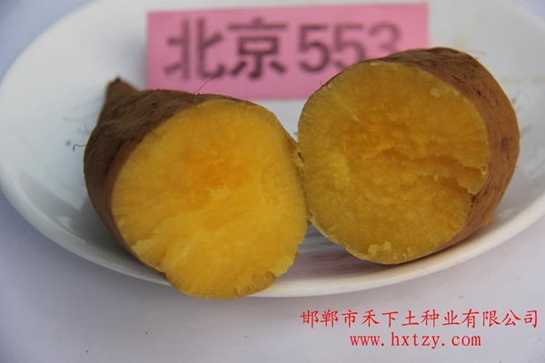 ׯ�к���Ϸ(�й�)�ɷ����޹�˾-����