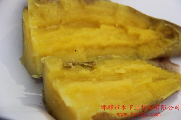 ׯ�к���Ϸ(�й�)�ɷ����޹�˾-����