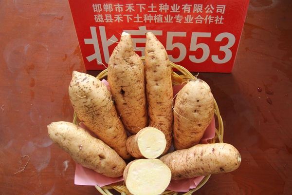 ׯ�к���Ϸ(�й�)�ɷ����޹�˾-����