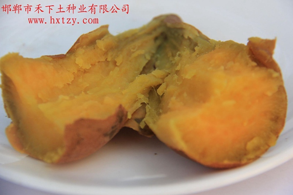 ׯ�к���Ϸ(�й�)�ɷ����޹�˾-����