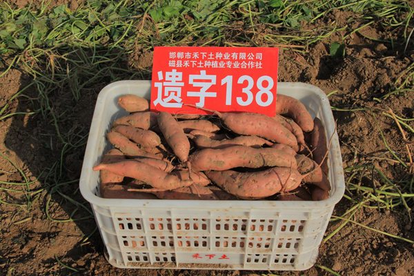 ׯ�к���Ϸ(�й�)�ɷ����޹�˾-����