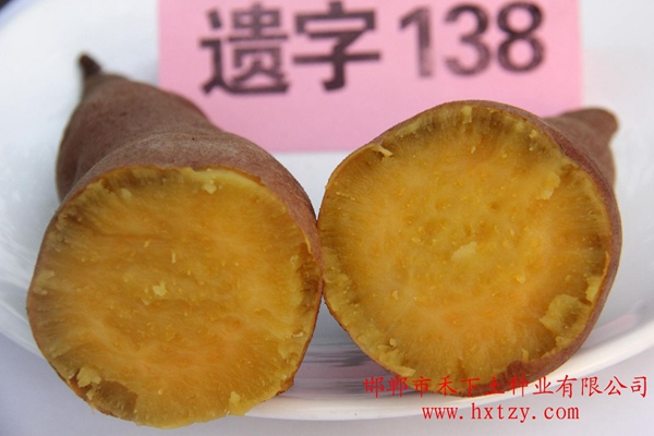 ׯ�к���Ϸ(�й�)�ɷ����޹�˾-����