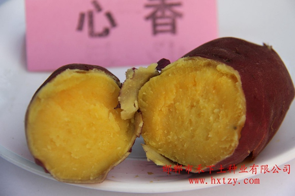 ׯ�к���Ϸ(�й�)�ɷ����޹�˾-����