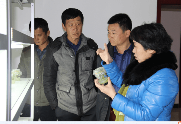 ׯ�к���Ϸ(�й�)�ɷ����޹�˾-����