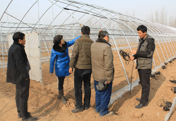 ׯ�к���Ϸ(�й�)�ɷ����޹�˾-����