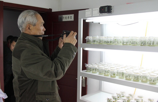 ׯÏкÍÓÎÏ·(Öйú)¹É·ÝÓÐÏÞ¹«Ë¾-¹ÙÍø