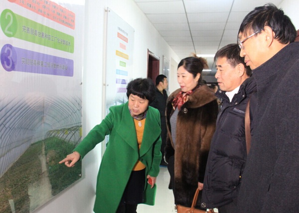 ׯÏкÍÓÎÏ·(Öйú)¹É·ÝÓÐÏÞ¹«Ë¾-¹ÙÍø