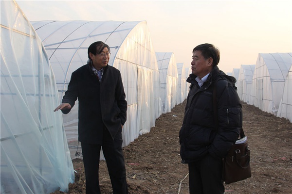 ÂÃÐÐׯÏйÙÍøÍѶ¾ÖÖÃç»ùµØ ׯÏкÍÓÎÏ·(Öйú)¹É·ÝÓÐÏÞ¹«Ë¾-¹ÙÍø