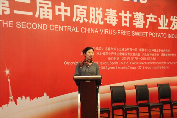 ׯ�к���Ϸ(�й�)�ɷ����޹�˾-����