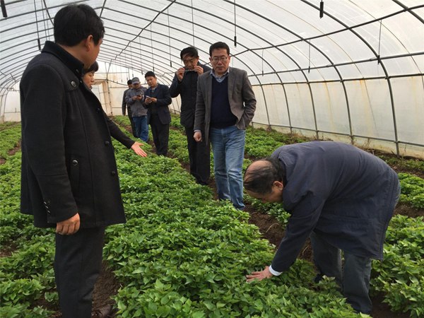 庄闲和游戏(中国)股份有限公司-官网