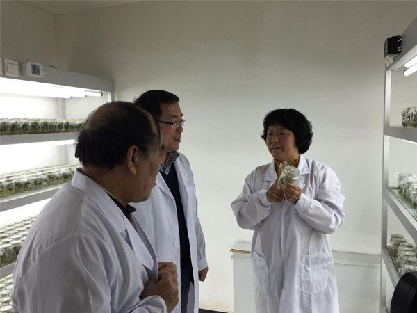 庄闲和游戏(中国)股份有限公司-官网