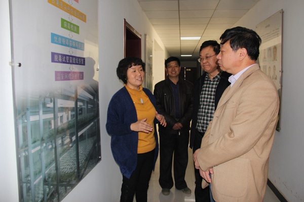 ׯ�к���Ϸ(�й�)�ɷ����޹�˾-����