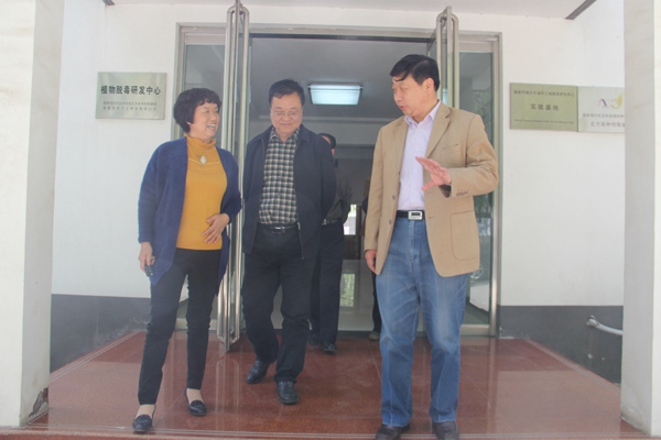 ׯ�к���Ϸ(�й�)�ɷ����޹�˾-����